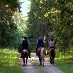 horseback-laurentians