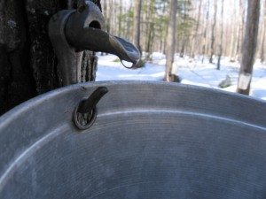 Célébrons Le Printemps !