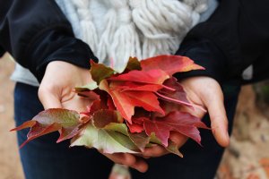5 Attractions In The Laurentians To Experience During The Fall Season