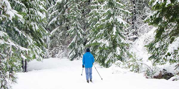 Cross Country Skiing, Snowshoeing And Dog Sledding Among Numerous Winter Activities In The Laurentians