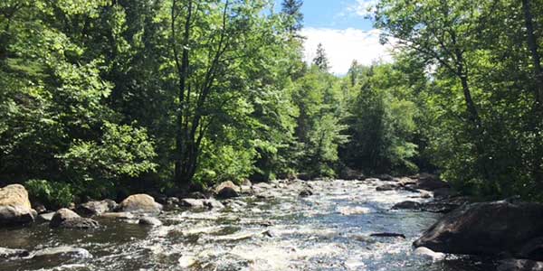 Hiking And Other Activities In The Laurentians