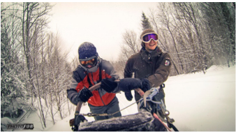 Dog sledding in the Laurentians
