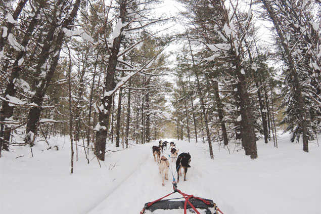 Spa and Intiation to Dog Sledding