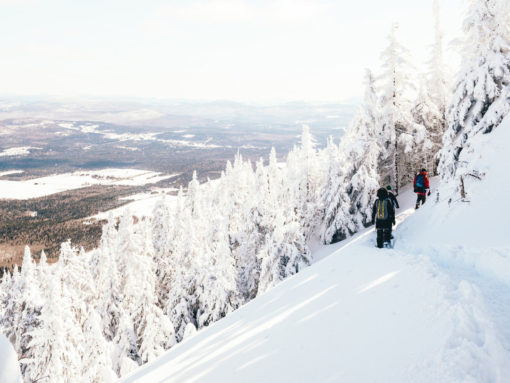 snowshoe-EDIT snowshoe-EDIT