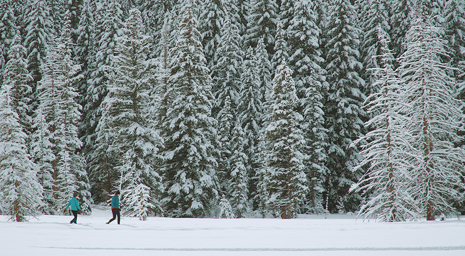 9 Winter Activities In The Laurentians For Every Taste