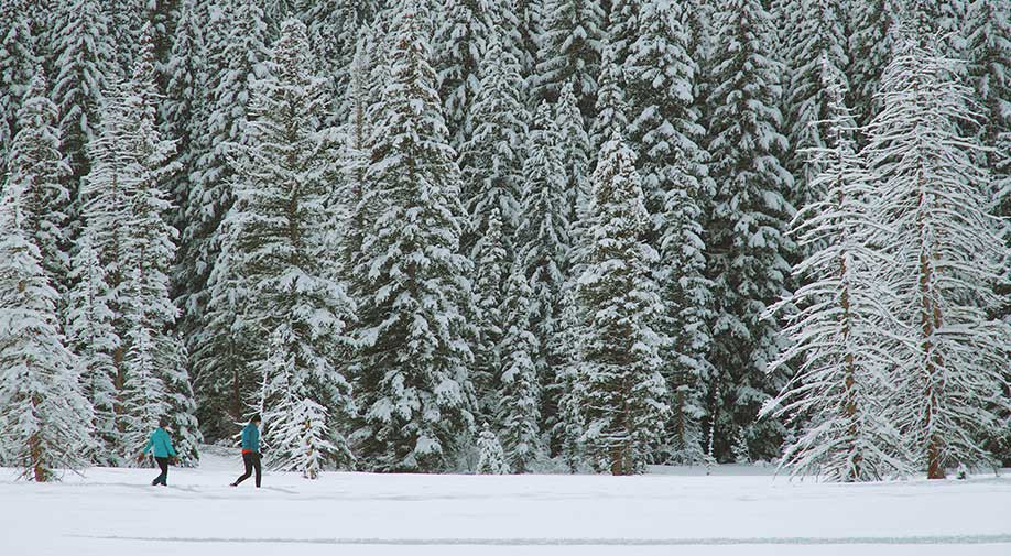 9 Activités Hivernales Dans Les Laurentides Pour Tous Les Goûts