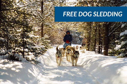 Dog Sledding And Hotel Package