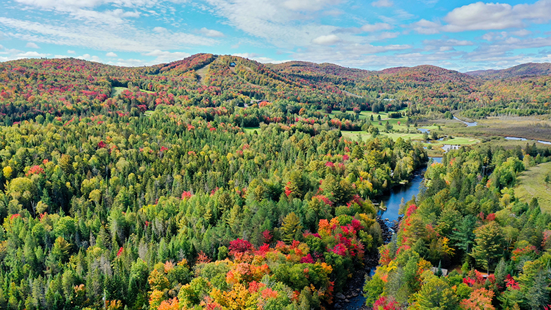 Activités dans les Laurentides